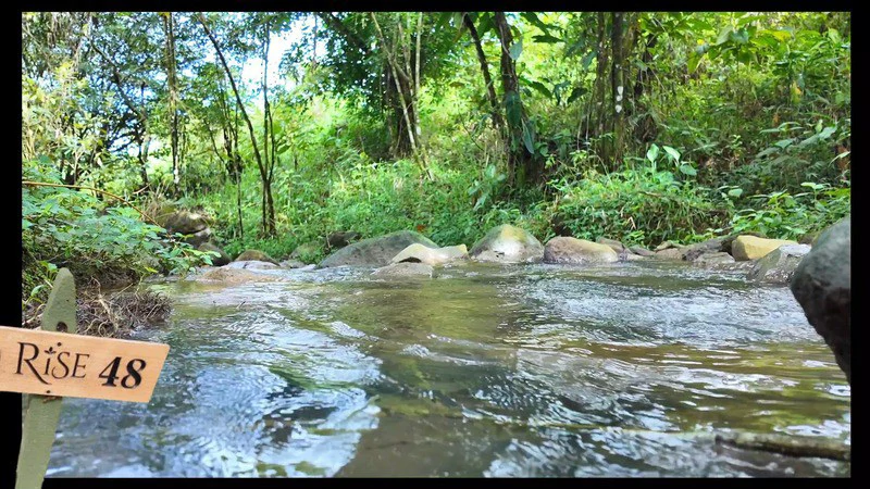 lote 48 RISE: BEAUTIFUL LOT FOR SALE IN THE HEART OF RISE COSTA RICA WITH CREEK (63,475 SQFT) - Gallery image 10