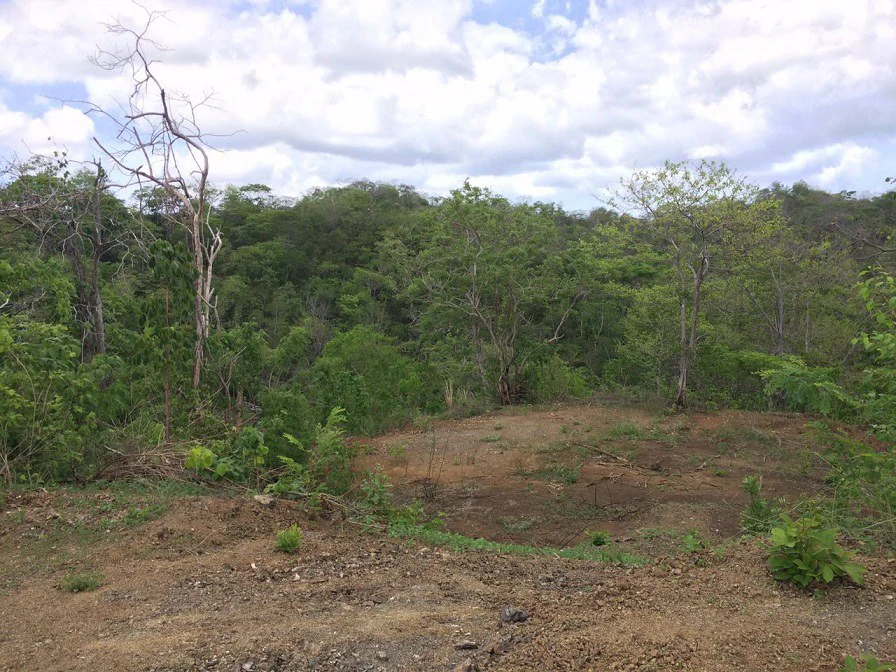 GRAN OPORTUNIDAD: GREAT OPPORTUNITY. Property of 48.3 hectares adjacent to the Hotel Riu - Gallery image 7