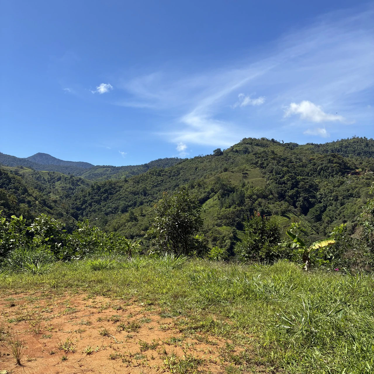 Breathtaking Mountain View Estate in Chimirol, Pérez Zeledón — 1.4 Hectares of Privacy, Nature & Potential: Mountain Home Construction Site For Sale in Chimirol - Gallery image 7