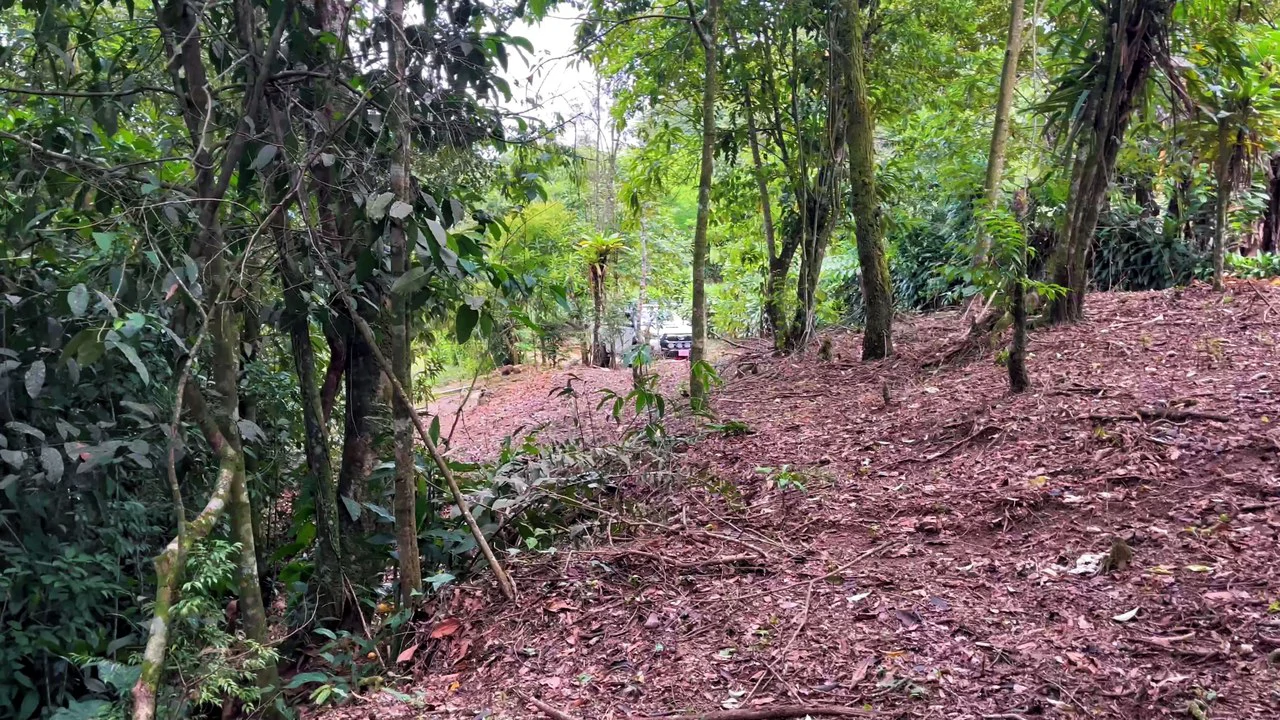 Lote en Chimirol, Costa Rica: Mountain Home Construction Site For Sale in San Isidro del General - Gallery image 5