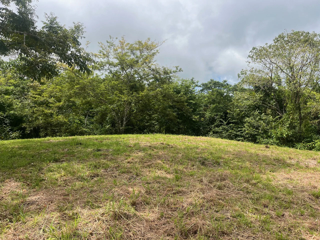 6000m2 Ready to Build Lot in Delicias: Great Price with Project and Permits included - Gallery image 10