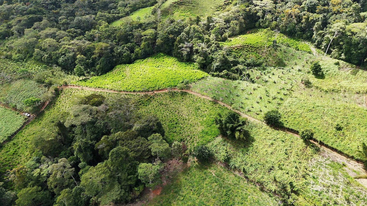Mountain Agricultural Land For Sale in San Isidro del General - Gallery image 11