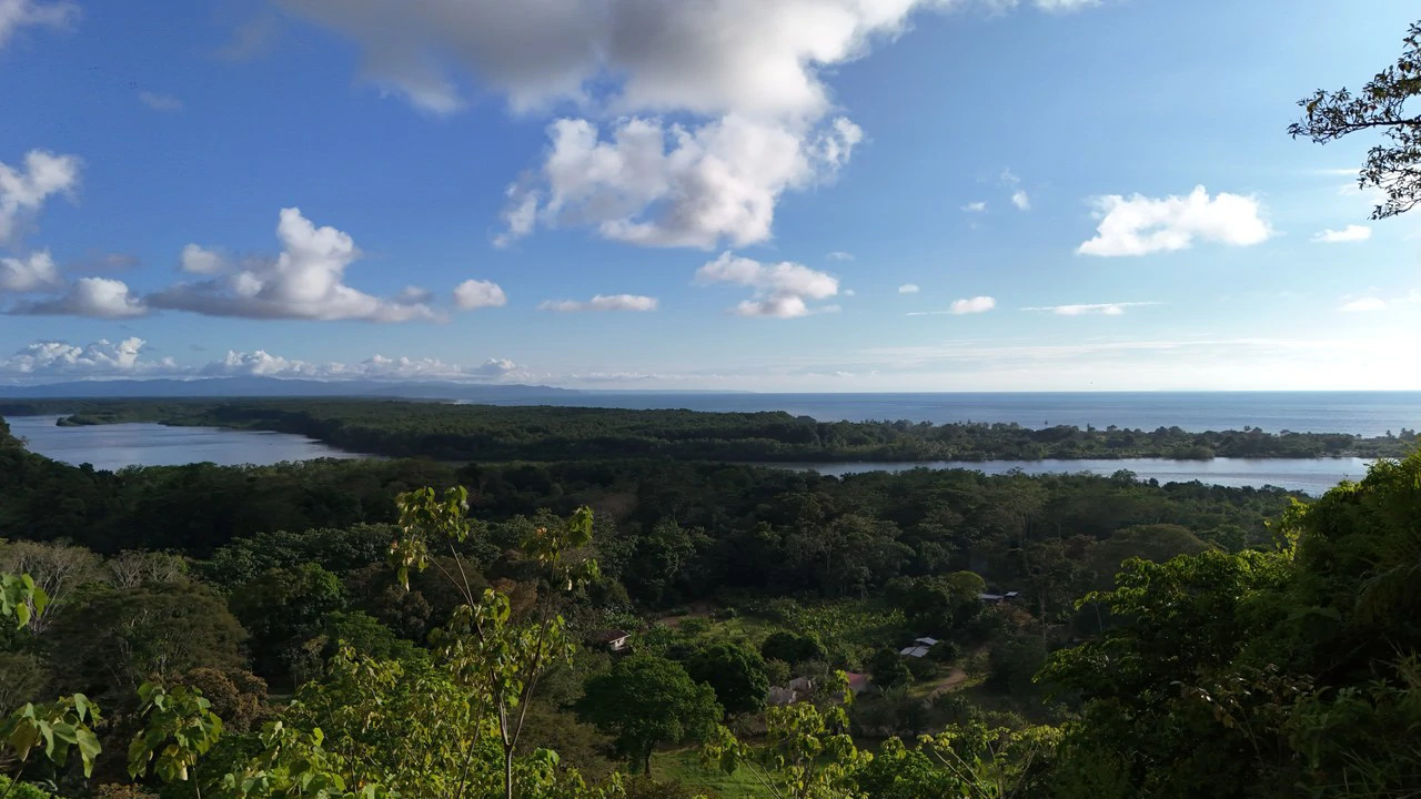 Stunning Ocean and Terraba River view property in Ojochal - Gallery image 4