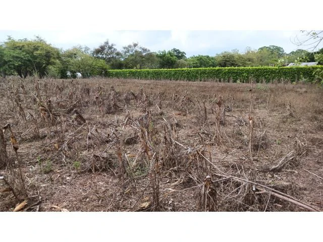 Amazing building property for sale 5 minutes away from Liberia center and 2 minutes walking to the Colorado River - Gallery image 2