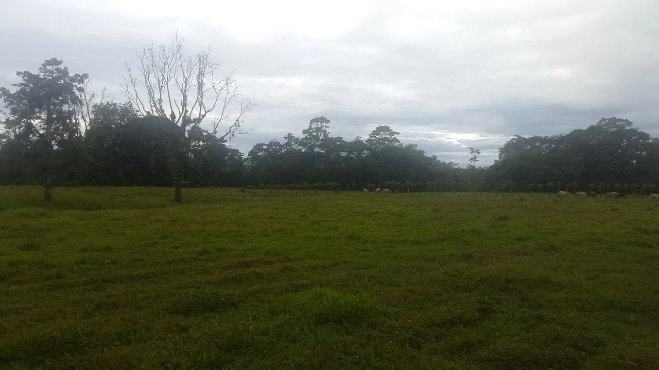 Countryside Development Parcel For Sale in Cariari - Gallery image 9