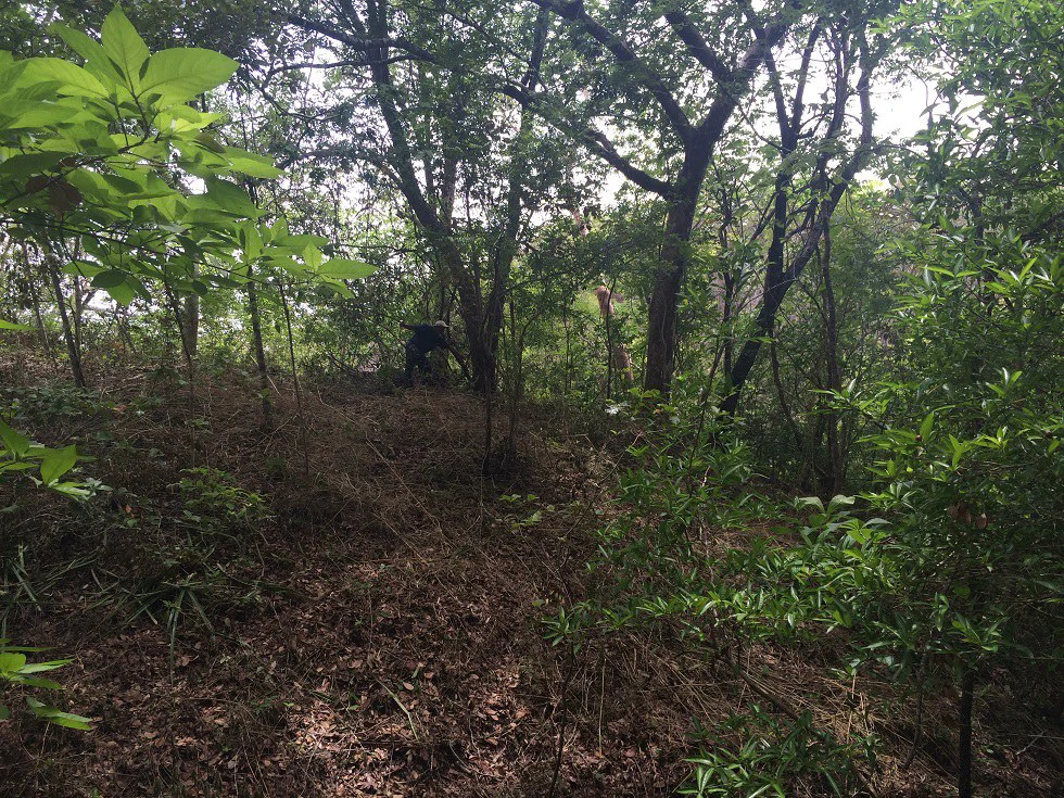 Finca grande: Economic Building property for sale in El Salto, with private access to the surrounding beautiful nature with own river - Gallery image 11