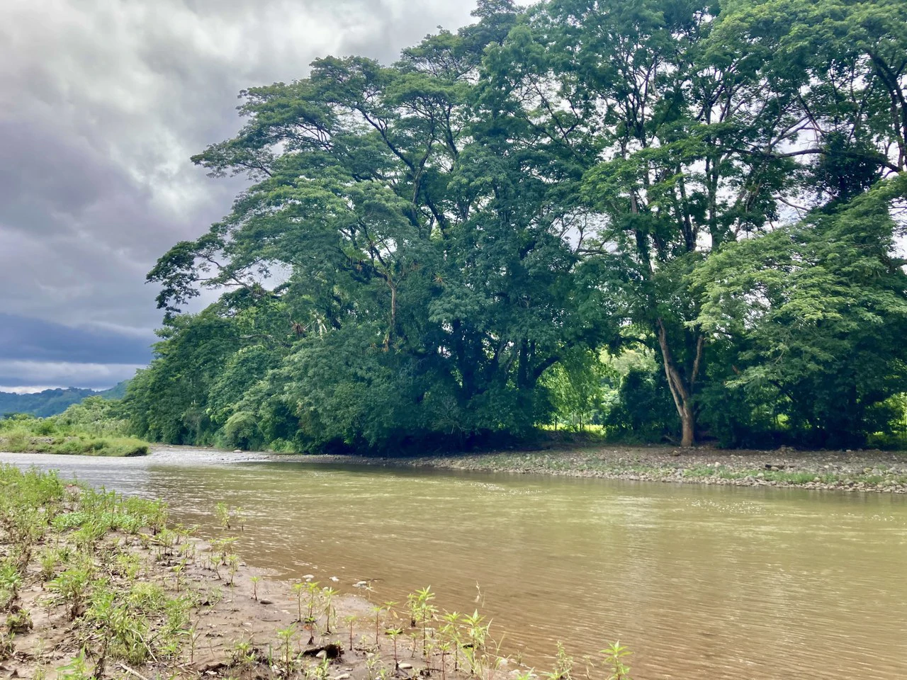 Frog Desing House: Property for Sale in Parrita, Costa Rica - Gallery image 36