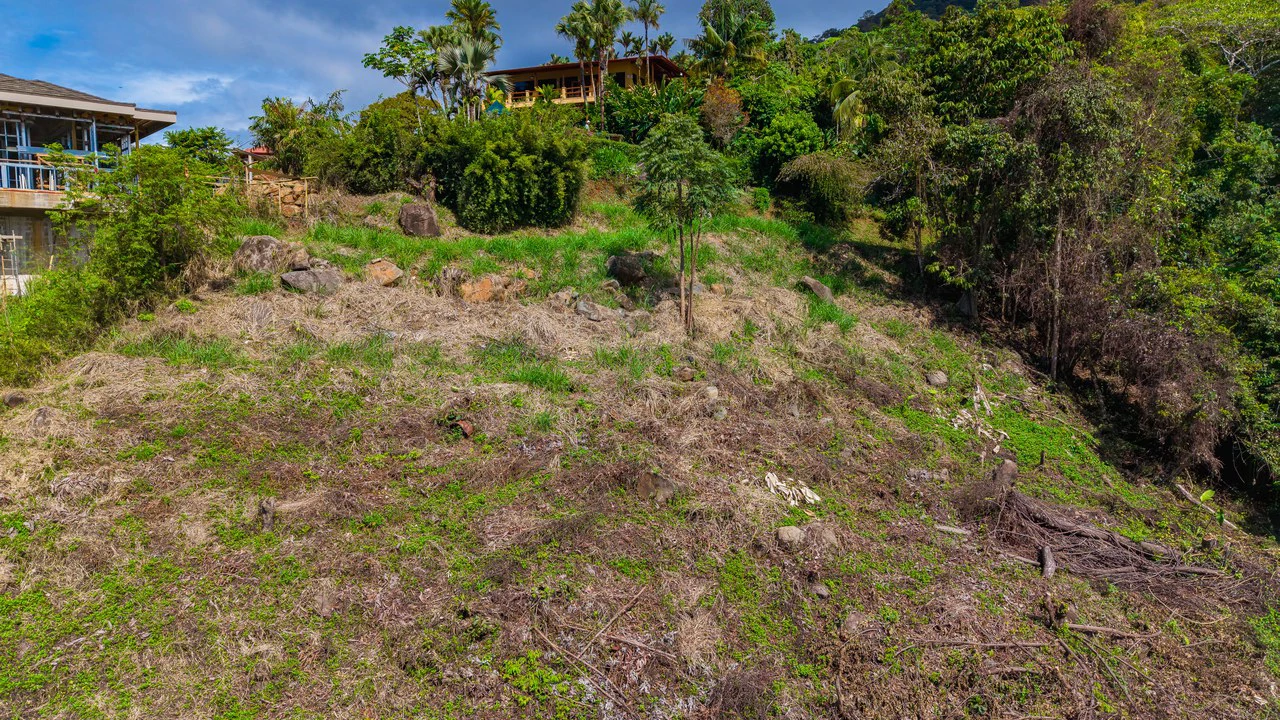Luxury Ocean View Homesite in Escaleras Playa Dominical - Gallery image 8