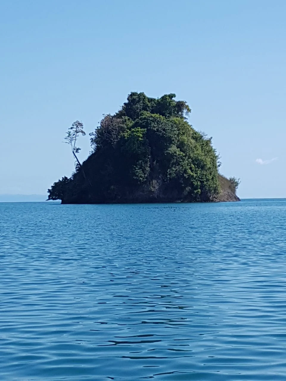 Nature Lover's Marina Resort Investment: Costa Rica South-Pacific Gulf Coast Marina, Rainforest Resort - Gallery image 5