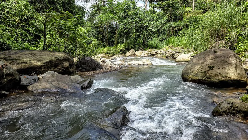 Waterfall Estate, Dos Bocas, Dominical Featuring Twin Waterfalls, Springs, Creeks & Rivers - Gallery image 36