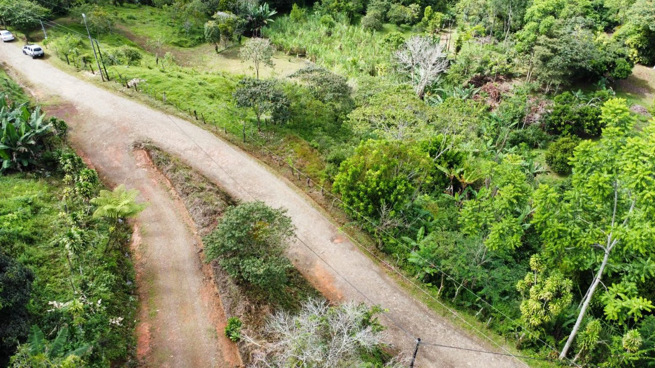 Propiedad en San Blas: Mountain Agricultural Land For Sale in La Linda General Viejo - Gallery image 27