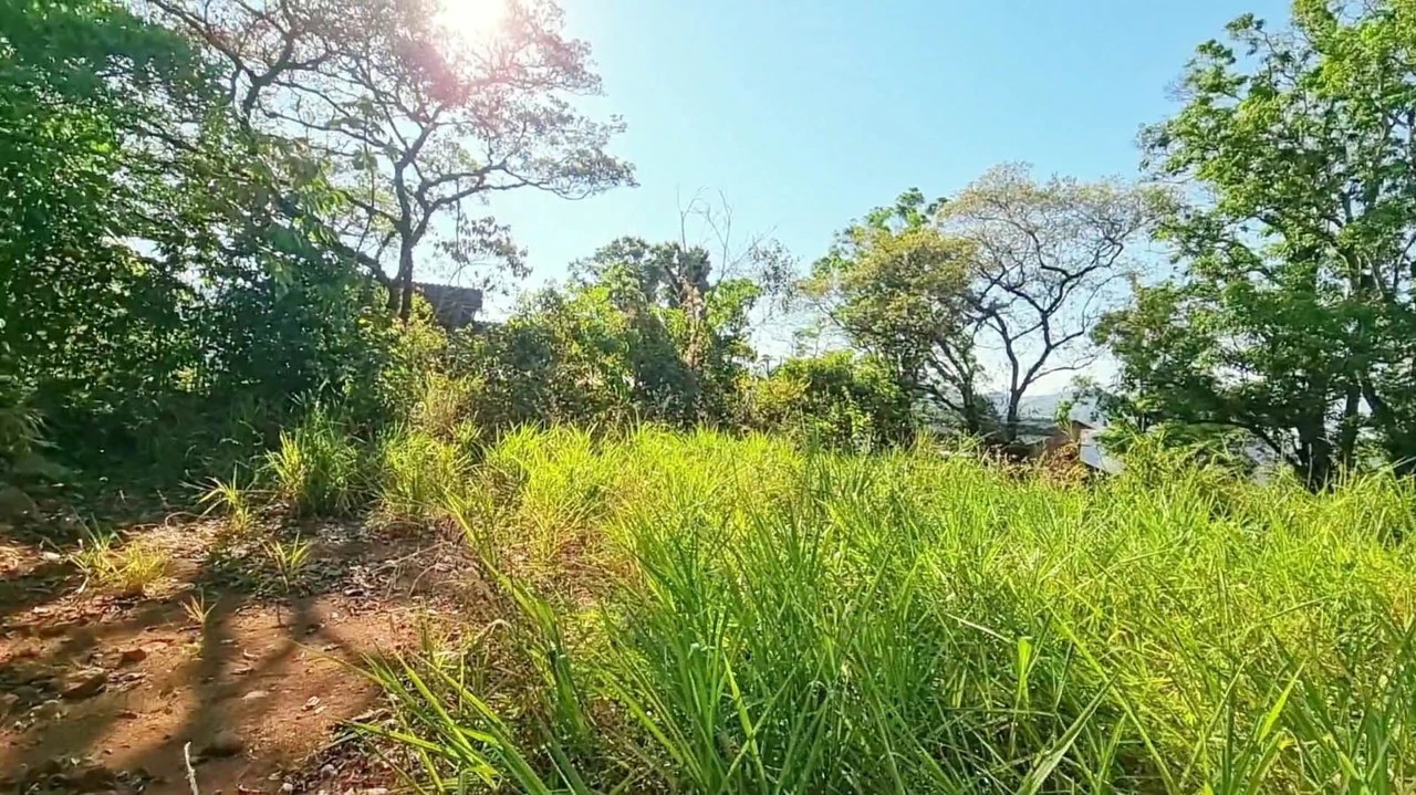 Lot for sale in Alegria Village: BEAUTIFUL LOT FOR SALE IN THE HEART OF ALEGRIA VILLAGE (10602 SQFT) - Gallery image 8