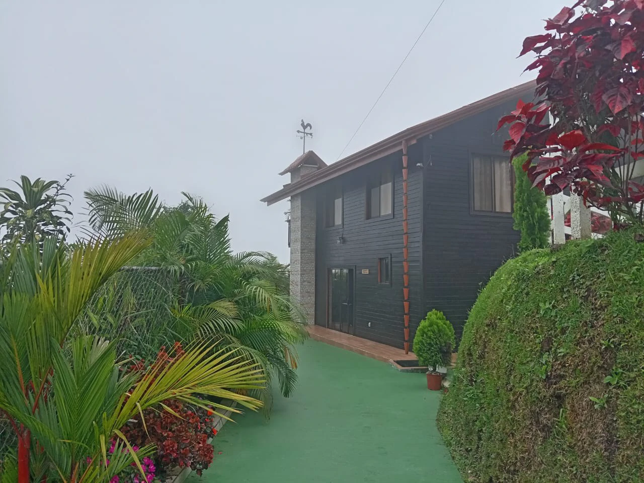 Two-Story Cozy Cabin in Agua Buena, San Vito - Gallery image 7