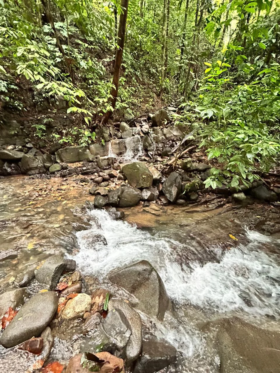 Finca Las Cataratas in Ballena: Mountain Home Construction Site For Sale in Bahía Ballena - Gallery image 26