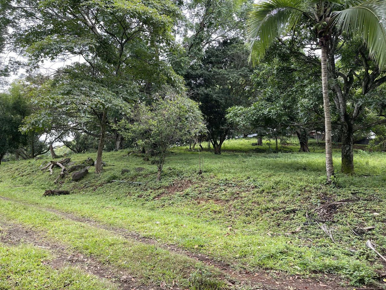Development land for sale La Garita Alajuela 6.2 hectares - Gallery image 9