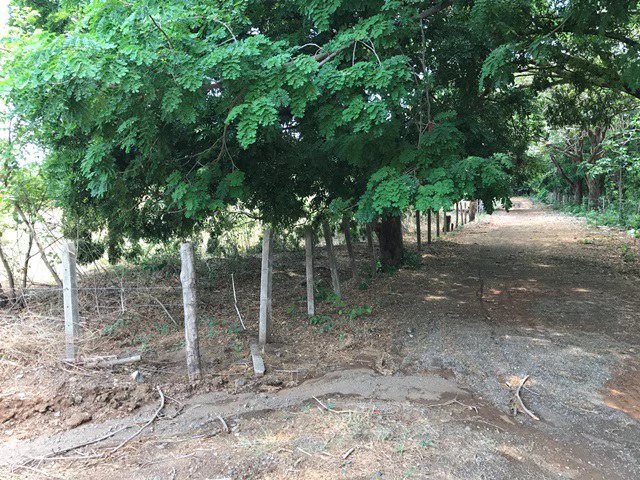 Great property in Santa Cruz: Excellent opportunity to develop in excellent location - Gallery image 21