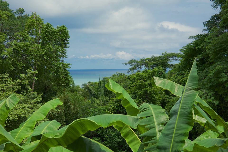 Property with 3 homes and pool: Tropical Gardens steps to the Beach in Mal País and minutes to Santa Teresa - Gallery image 15