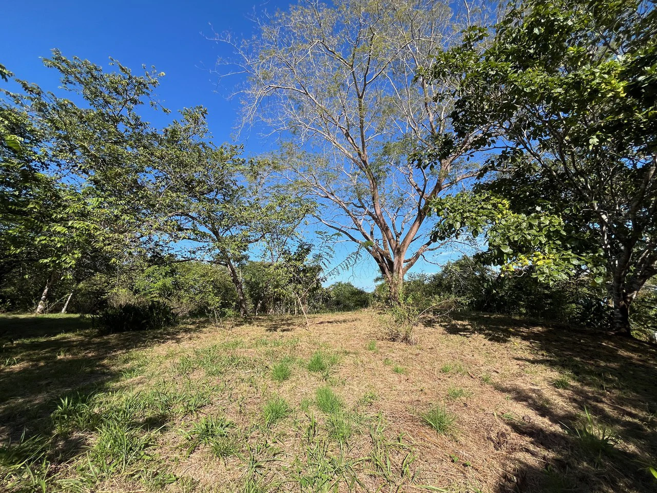 4000m2 Ready to Build Lot in Delicias: Partial Ocean Views in Great Neighorhood - Gallery image 11