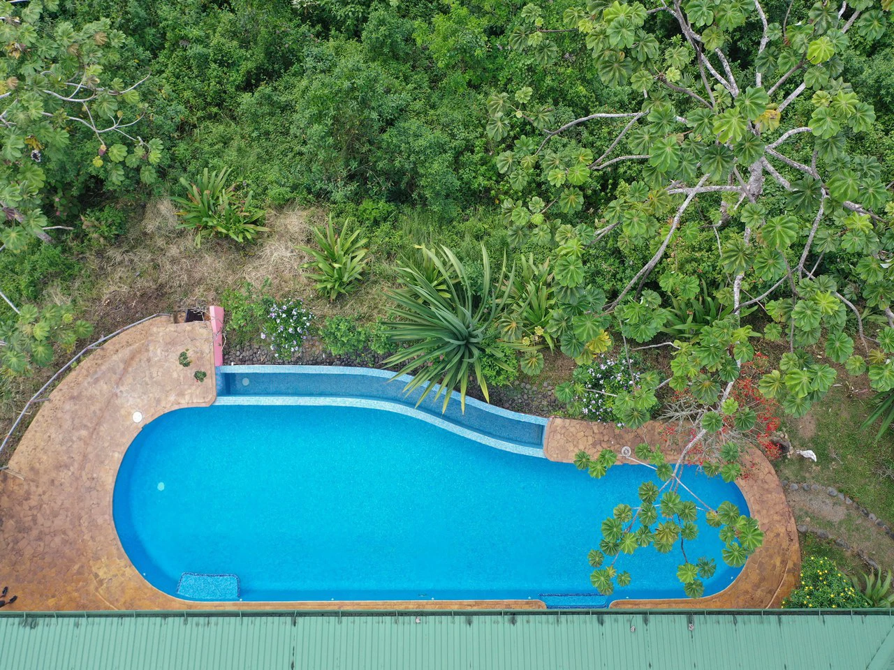 5.2 ACRES – 2 Bedroom Home With 60 Ft Infinity Lap Pool, 1 Bedroom Guest House, Fabulous Ocean View, Mature Fruit Trees!!! - Gallery image 5
