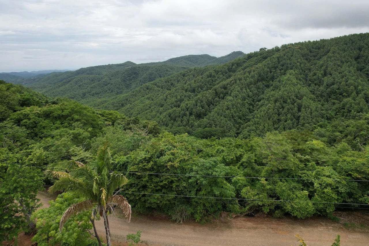 Lotes Paraíso: Spectacular Ocean and Mountain View 5.77 acres Development Land - Gallery image 14