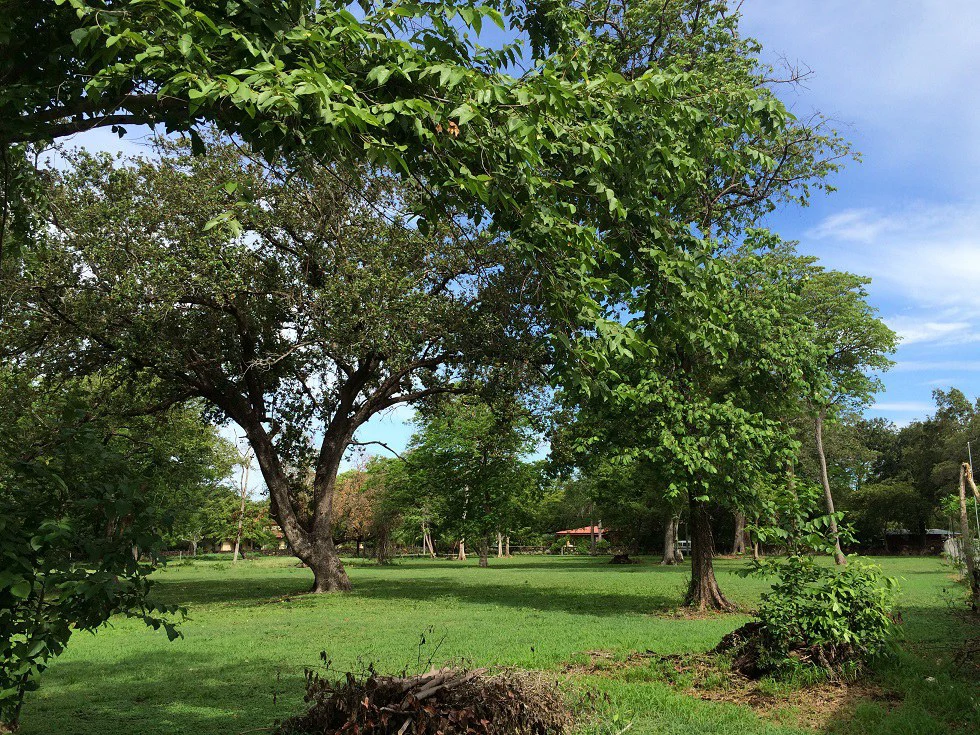 Propiedad grande: Home Construction Site For Sale in Liberia - Gallery image 12