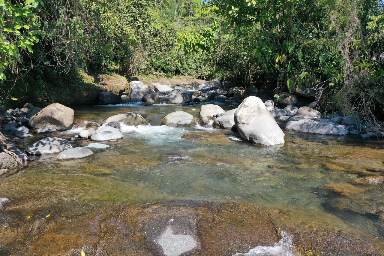 8 Acre Riverfront Sanctuary in San Pedrito Pérez Zeledón - Gallery image 28