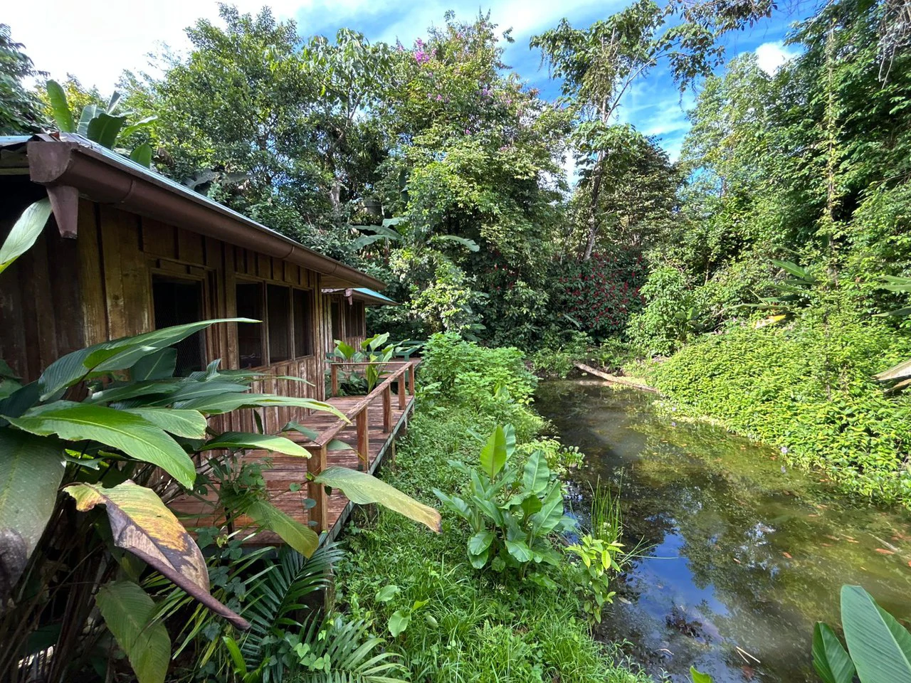 60 Acre Fully Sustainable and Impactful Conservation Initiative Near Golfito: Mountain Multi Unit Building For Sale in Golfito - Gallery image 40