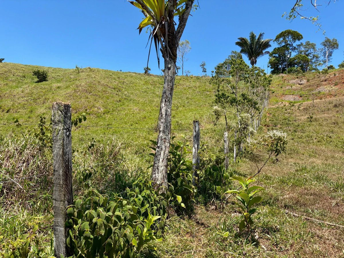 8.77 ACRES – Private Land Just 20 Min to Dominical, Beautiful Mountain Views, Legal Water, Electricity, Public Road, Private Setting, Ready to Build!!!! - Gallery image 5