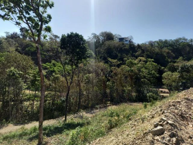 Building Lots for sale in a pristine and peacefull woodland 3 km from Samara Beach