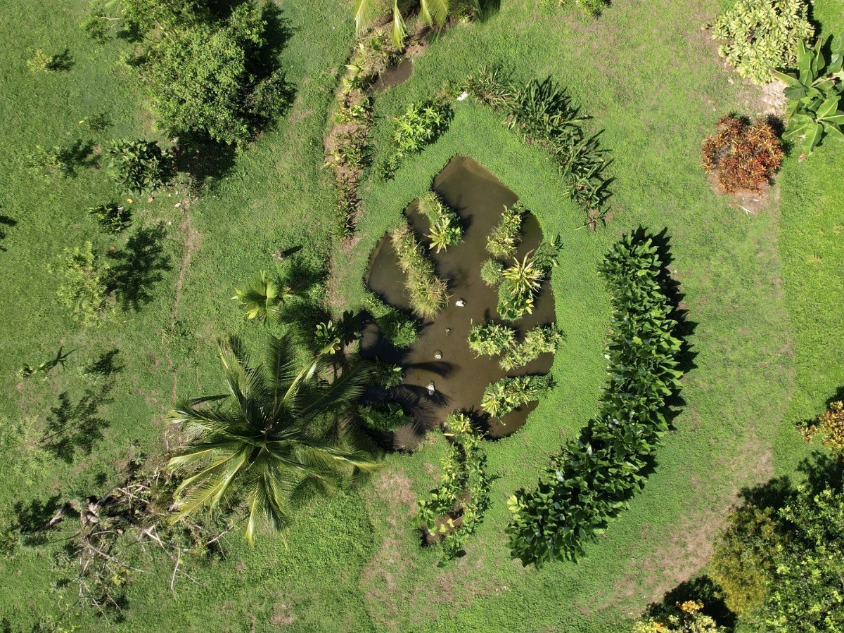 Casa Bromelia: Drake Bay Beachfront Paradise Property Near Corcovado - Gallery image 15