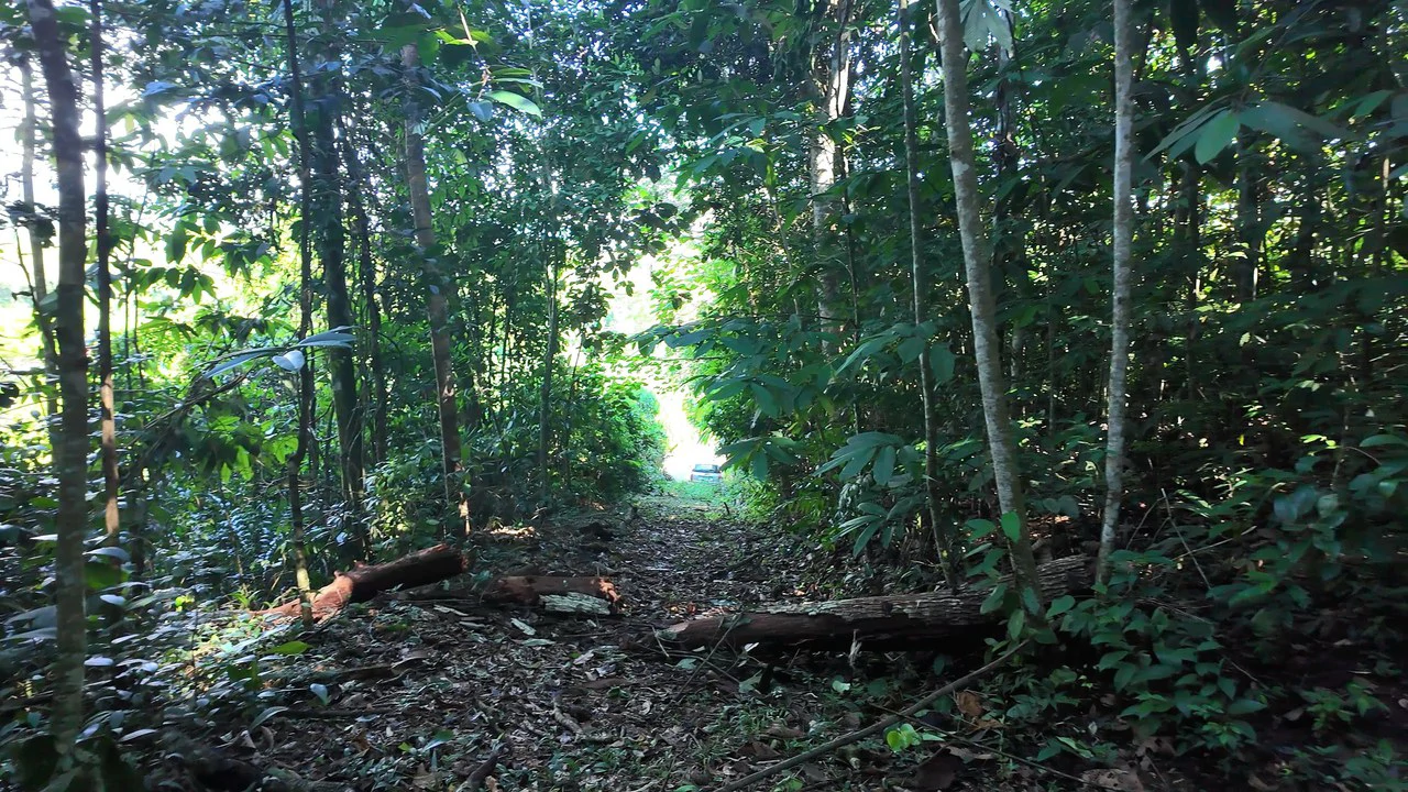 LOTE EN PEÑAS BLANCAS: Mountain Home Construction Site For Sale in El General - Gallery image 4