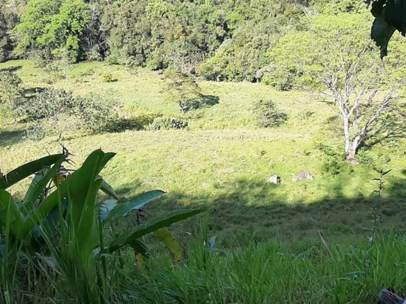 Livestock Farm | Titled property located in Santa Eduviges - Gallery image 41