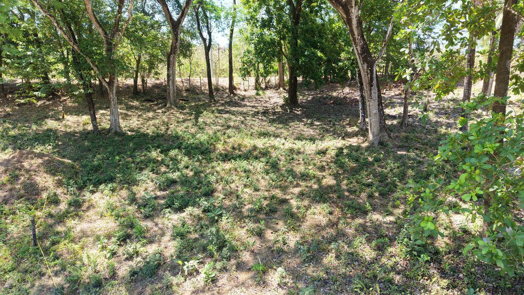 Lote Del Bosque: Buildable Lot with Mountain Views – Prime Location in Playa Carrillo - Gallery image 9