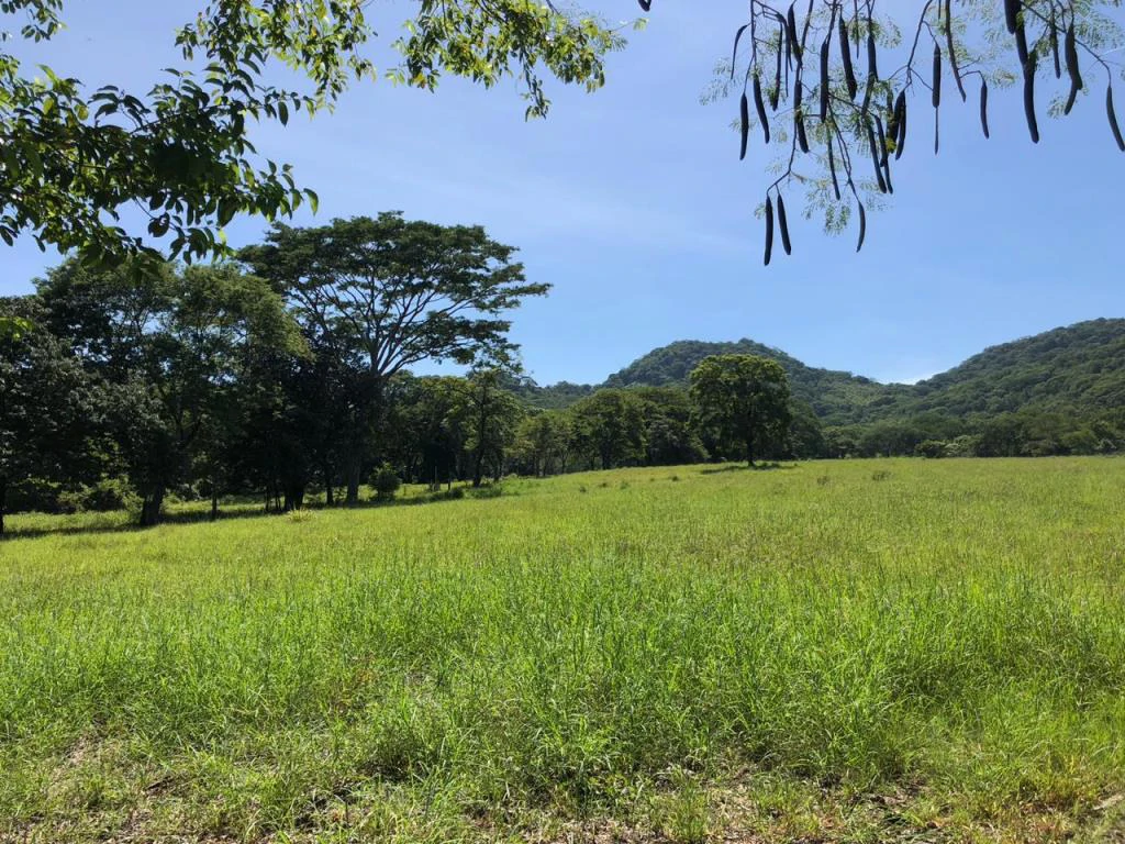 Huge dream Cattle farm for sale with 2 houses close to the Gulf of Nicoya, Guanacaste, Costa Rica - Gallery image 27