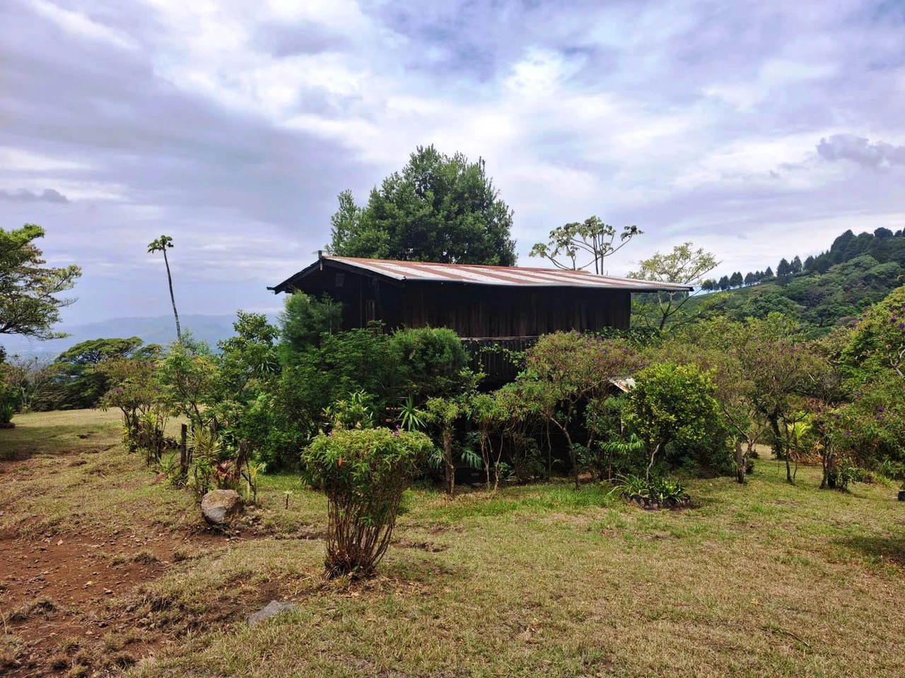 Mountaintop Canvas!: 31,000m2 - Entrepreneur's Dream Property! - Gallery image 6