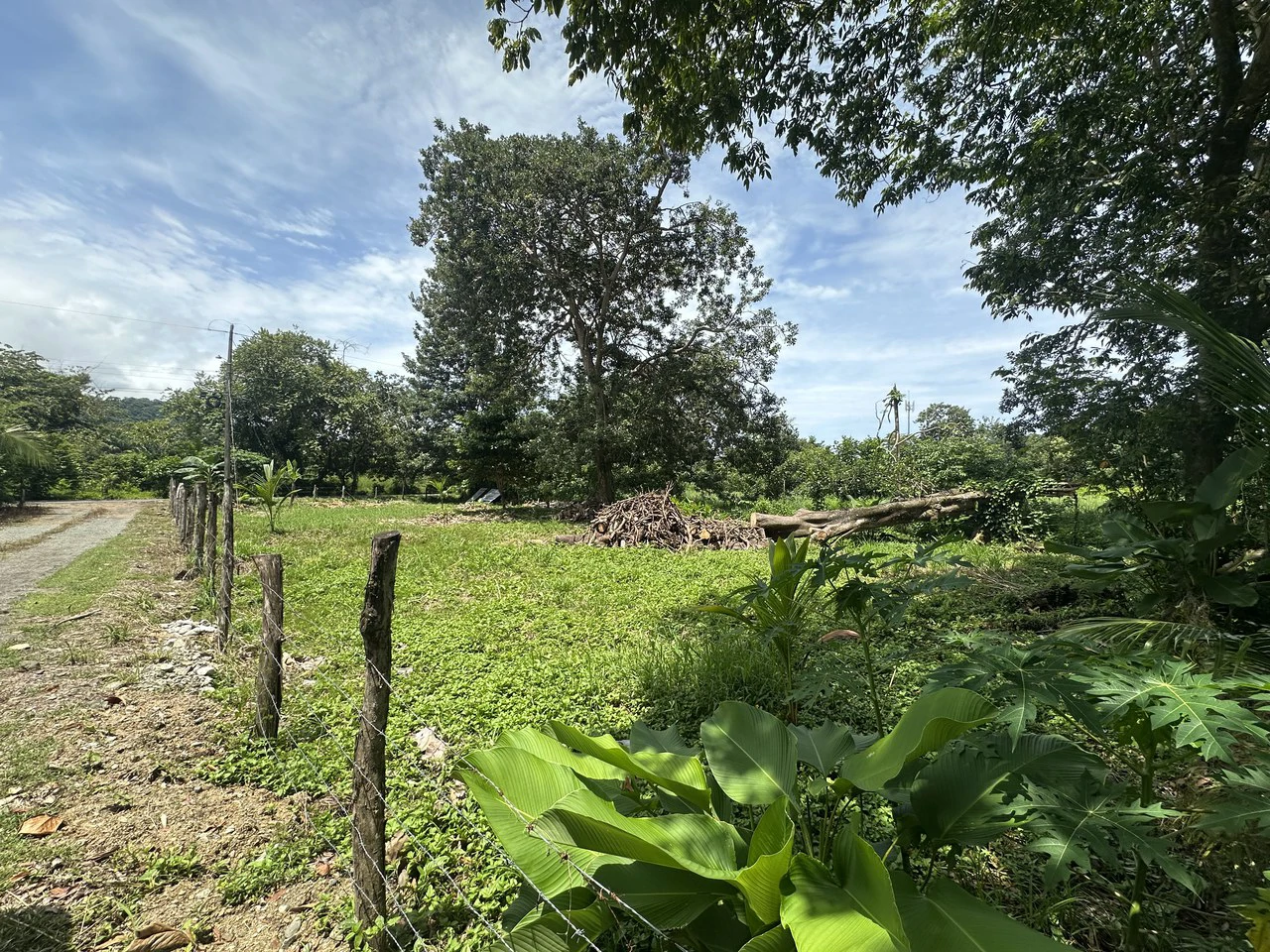 Prime Lot Just 350 Meters from Matapalo Beach – Ideal for Commercial or Residential Development: Near the Coast Development Parcel For Sale in Matapalo - Gallery image 12