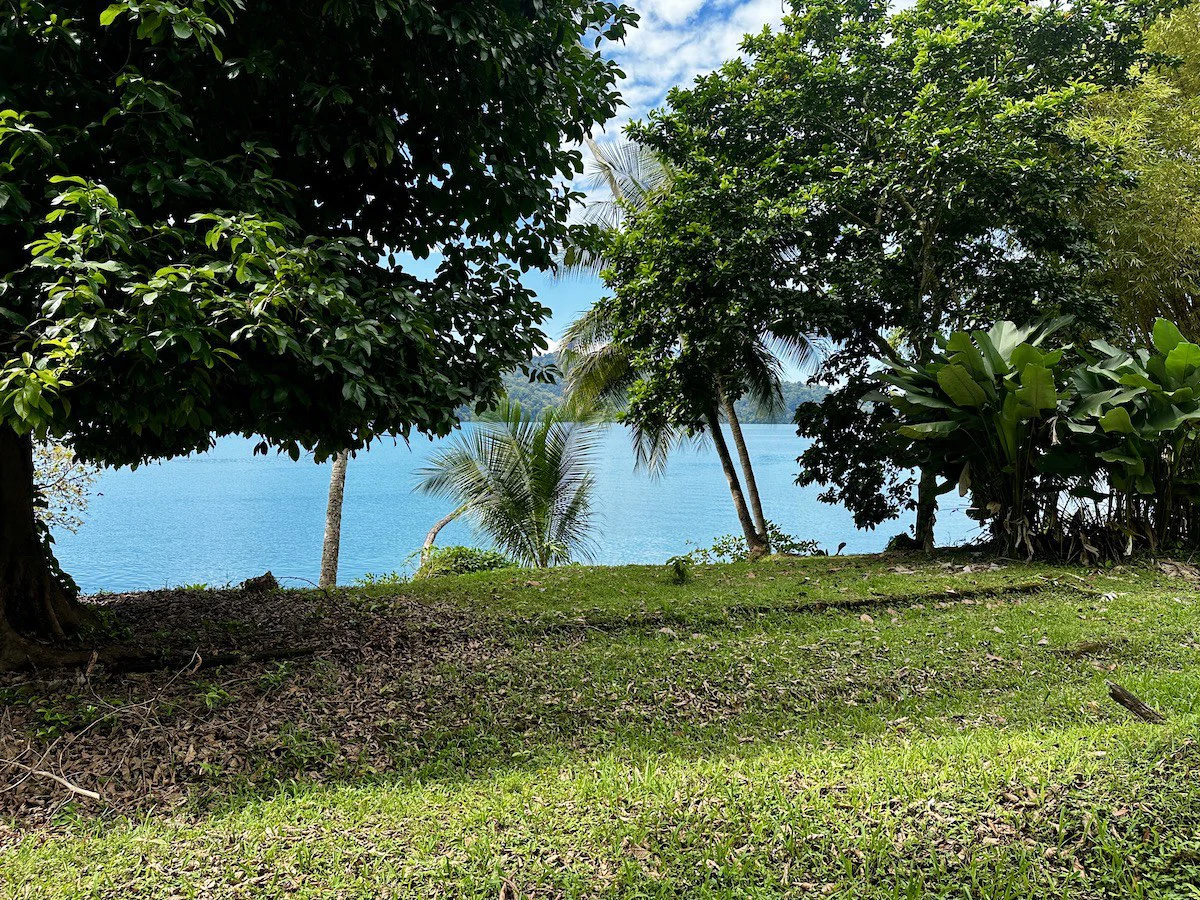 Titled Waterfront Property Golfito Bay - Gallery image 19