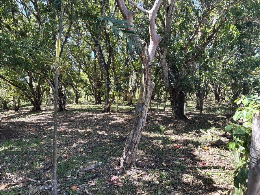FOR SALE / Land in Coyolar, Orotina, Alajuela - photo 6