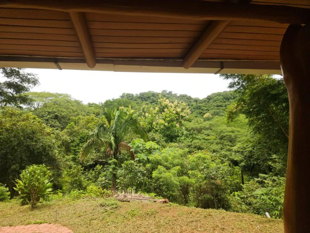 Nosara's Brand New Top Villas as a Business Opportunity in the dense forest of catchment area, 7 villas for sale in Costa Rica's Healthy Blue Zone - Gallery image 64