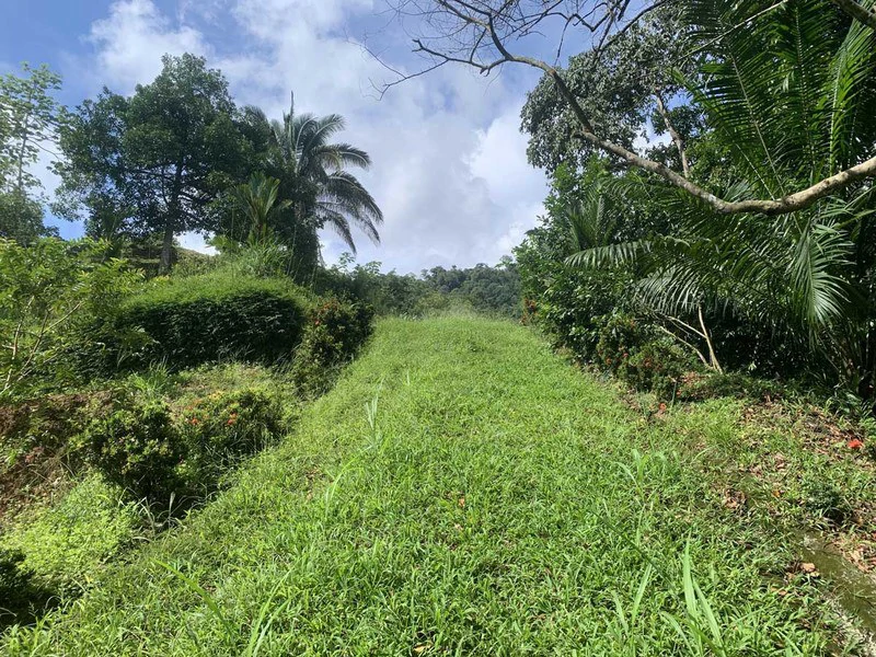 Playa Hermosa: Two Locations to Build, Permits Ready - Gallery image 11