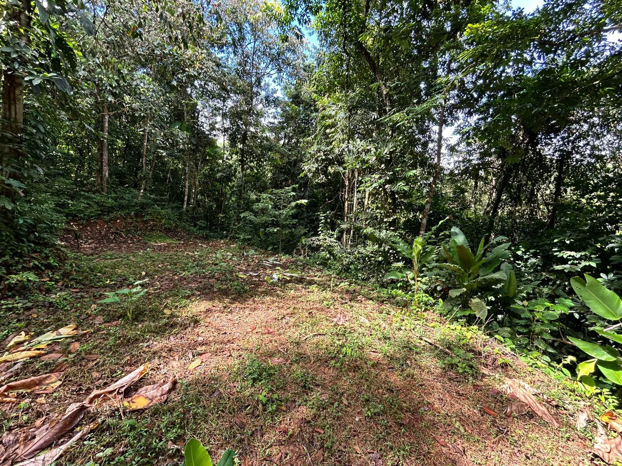 1.4-acre gated lot in Uvita - Gallery image 11