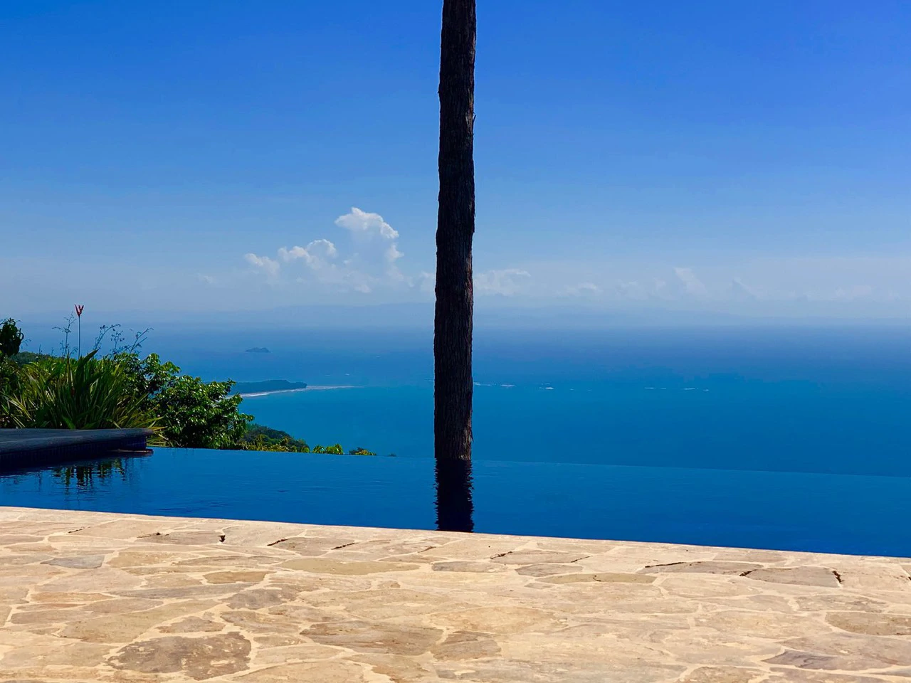 2 ACRES – 2 Bedroom Whales Tale Ocean View Home In Costa Verde Estates Gated Community!!!: 79 ACRES – Amazing Farm On Ridge Top With Whale’s Tail Ocean View And 800 Exotic Tropical Fruit Trees!!!!! - Gallery image 42
