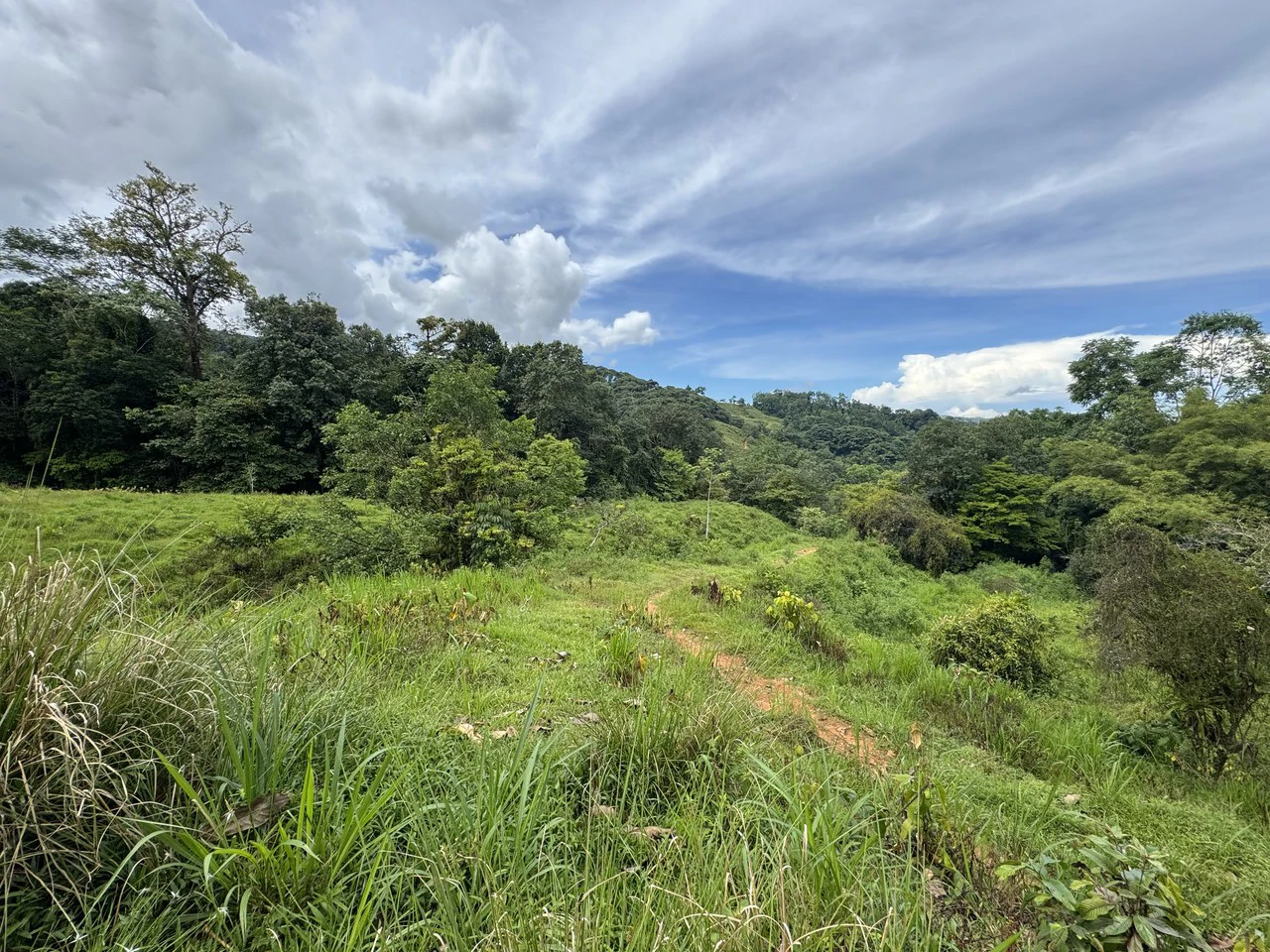 19 Acre Riverfront Lot with Private Waterfall la Perla Dominical - Gallery image 4