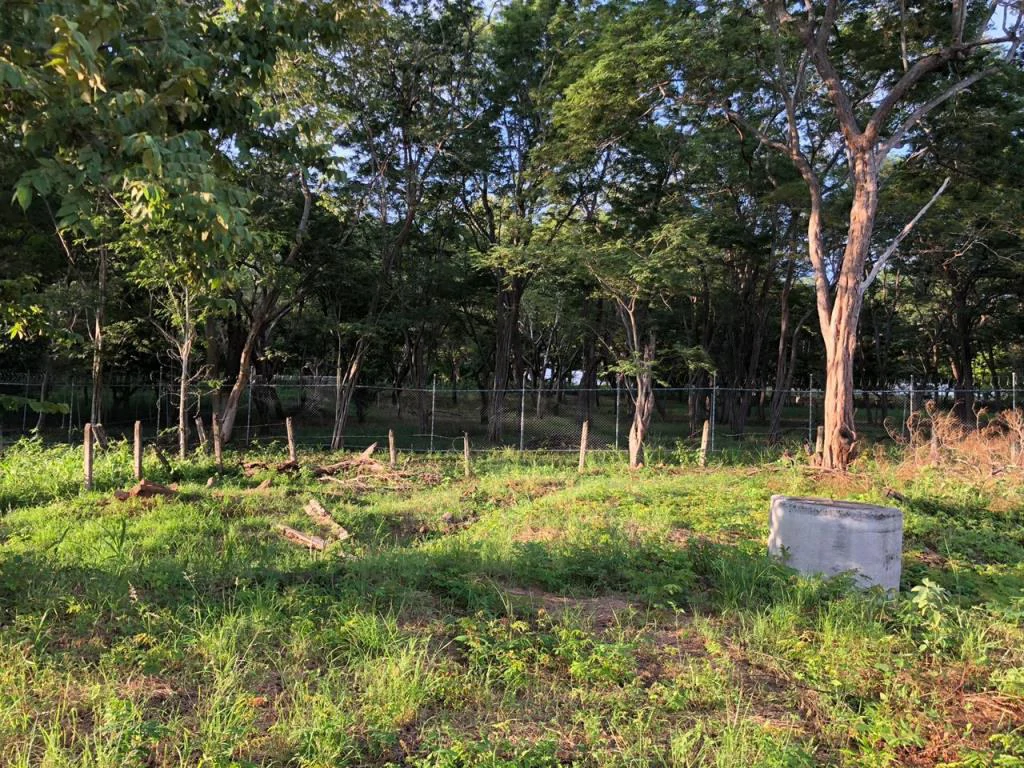 Large Commercial Property in Playa Hermosa, Guanacaste, Costa Rica - Gallery image 7