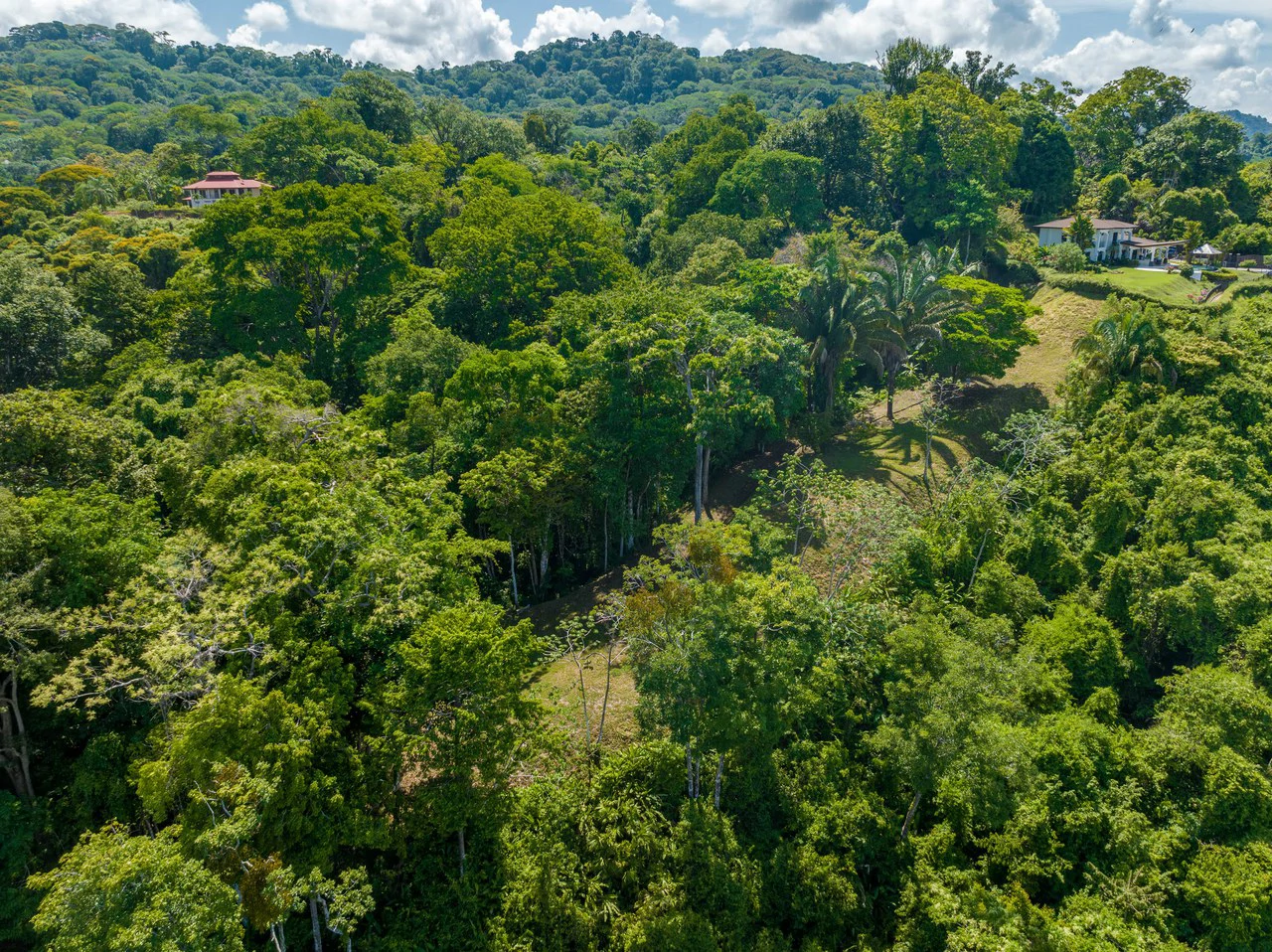 Front Row Ocean View Property with a Private Waterfall in Dominical - Gallery image 30