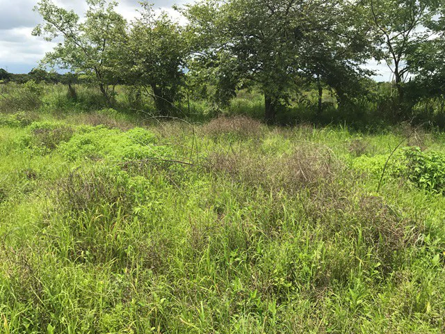 Property close to Liberia and Discovery Park - Gallery image 12