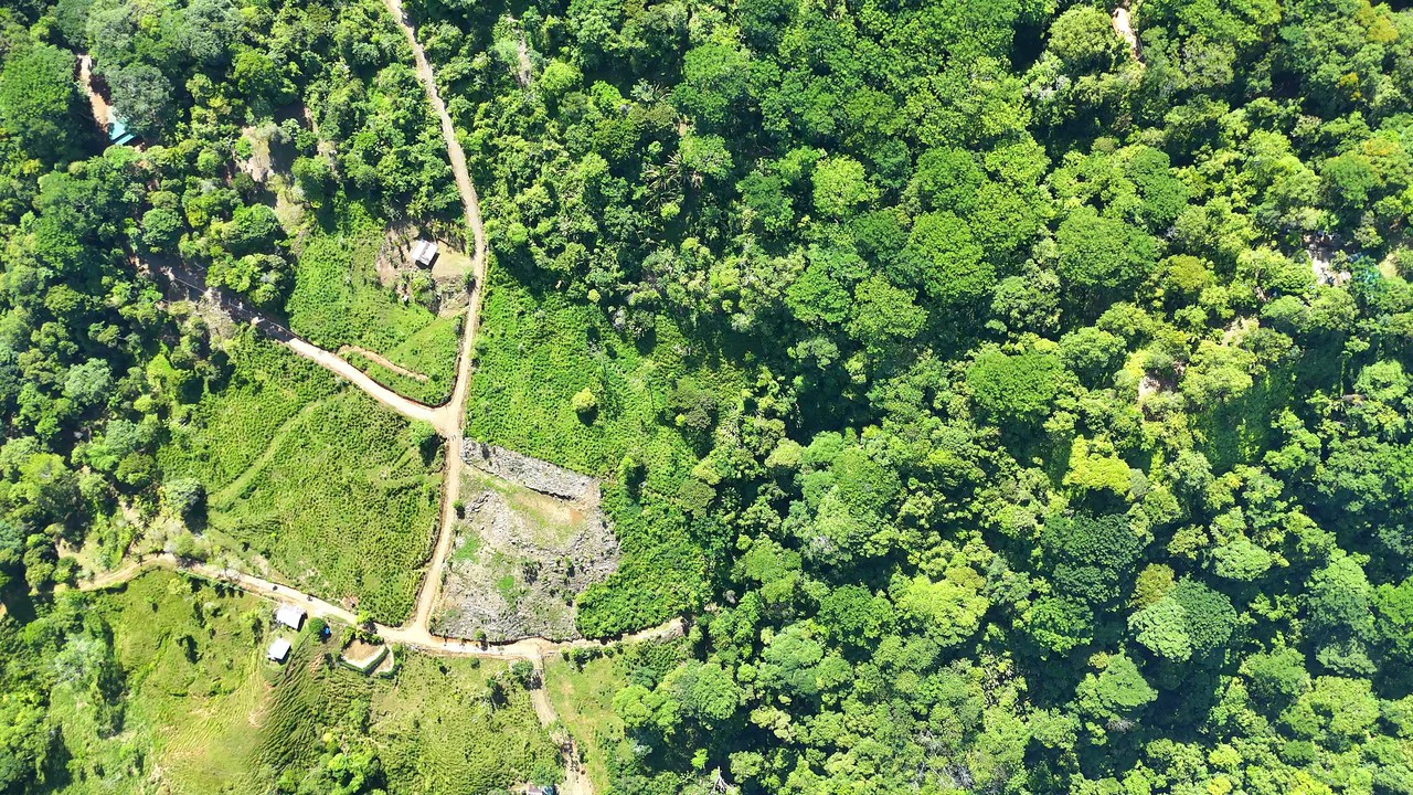 Near the Coast and Mountain Home Construction Site For Sale in Uvita - Gallery image 14