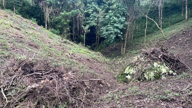 Beautiful Property for Sale in the Mountains of San Juanillo – Prime Land with Building Potential Just 10 Minutes from the Ocean - Gallery image 18