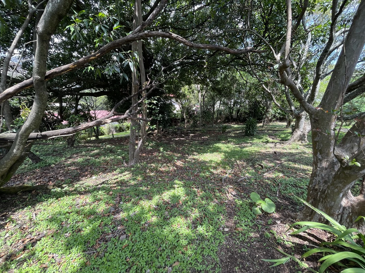Developemt land 3726: Escazu, San Rafael, development land for sale with a house - Gallery image 3