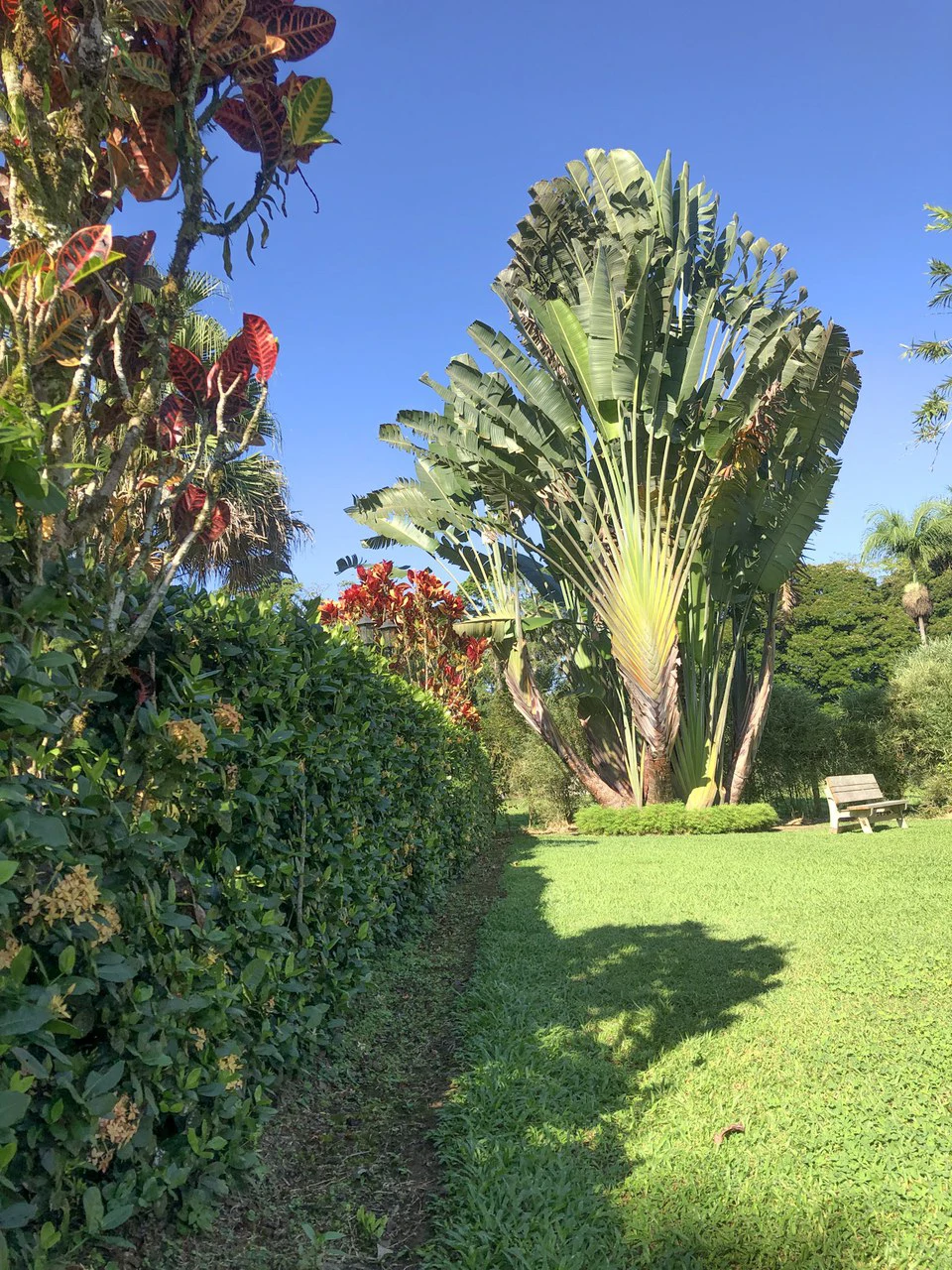 Beautiful Home for Sale with its own Natural Paradise - Gallery image 20